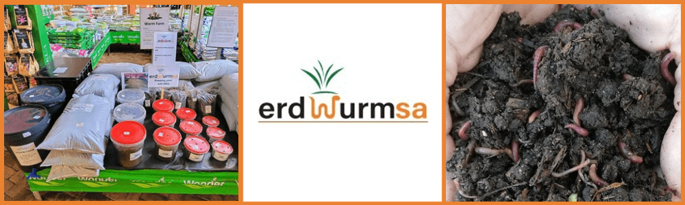 ErdwurmSA main banner image